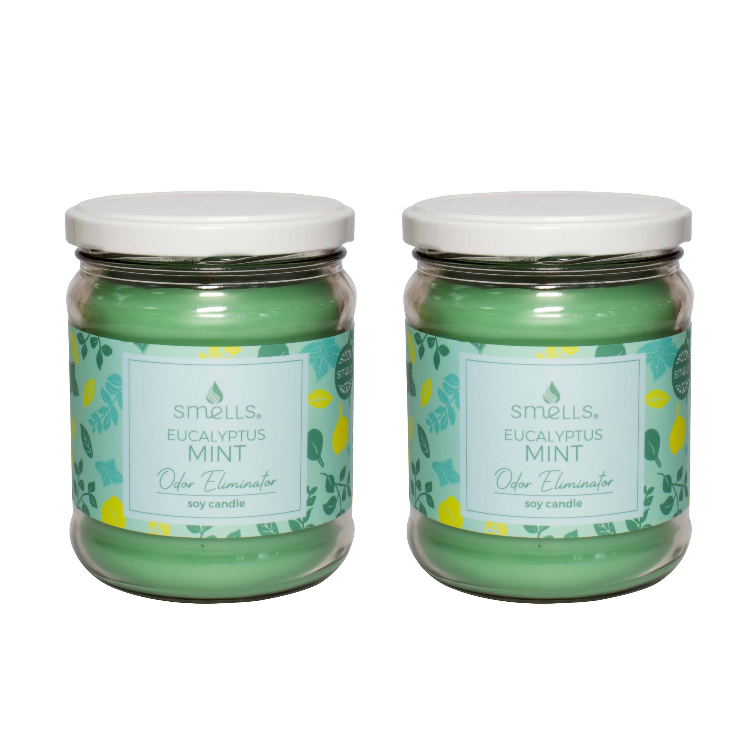 Eucalyptus Mint Odor Eliminator Scented Candle, 12 oz (2-PACK)
